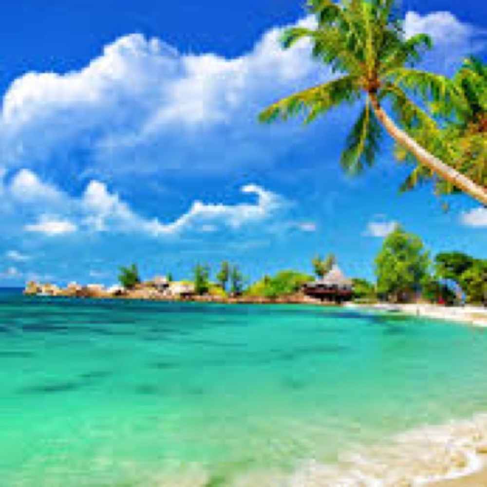 Meet your Posher, Toobs